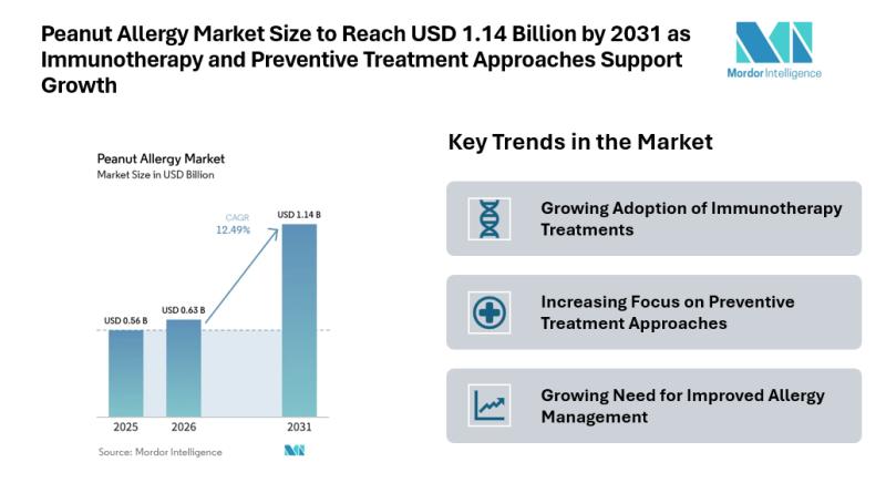 Peanut Allergy Market Size to Reach USD 1.14 Billion by 2031 as
