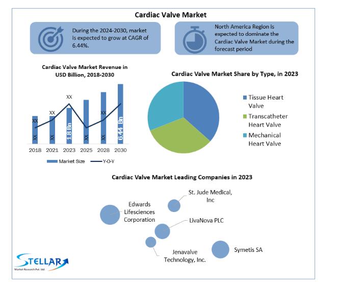 Cardiac Valve Market: