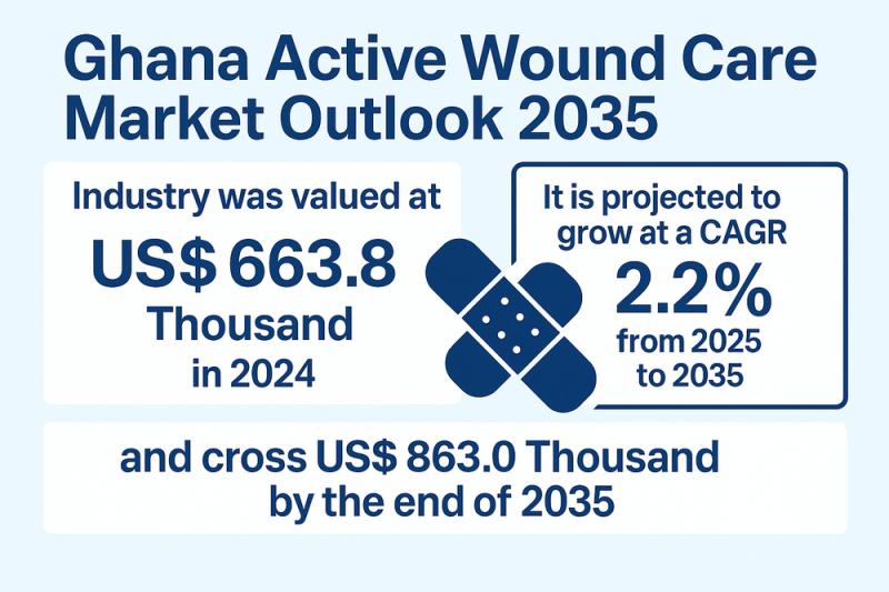 Ghana Active Wound Care Market Forecast 2035: Rising Chronic Wound Cases and Healthcare Infrastructure Improvements Fuel Market Demand | Transparency Market Research, Inc