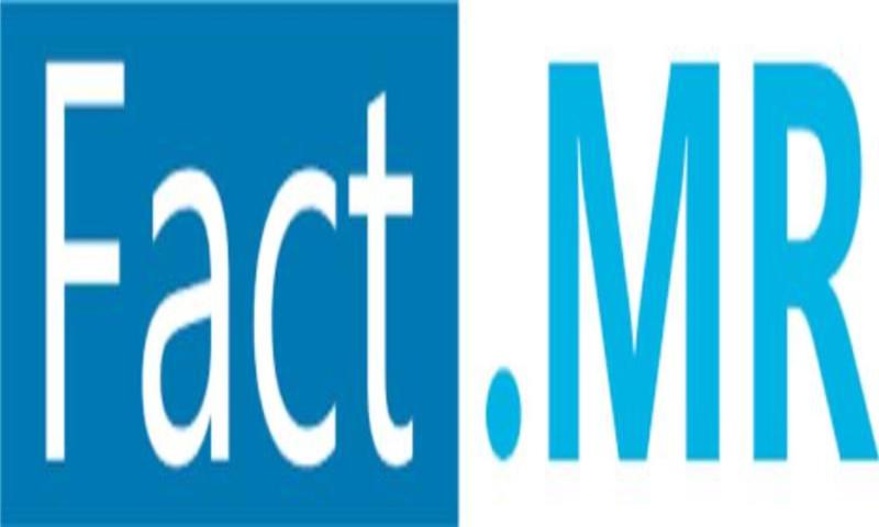 Handbag & Purse Manufacturing Market is Projected to Reach USD 265.57 Billion by 2034 | Fact.MR