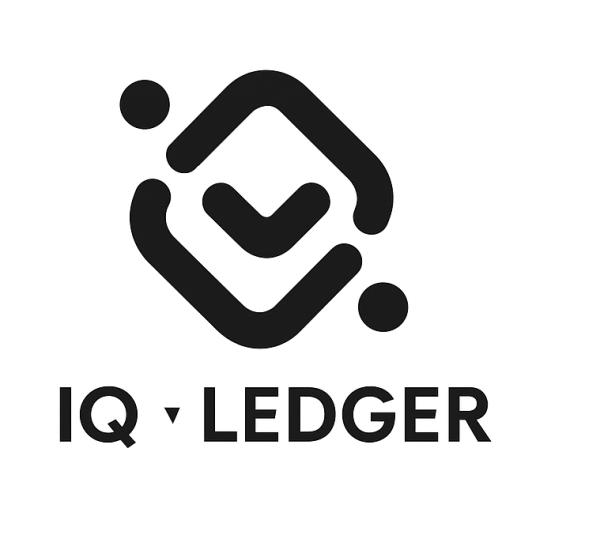 IQ-Ledger Empowers Orange County Small Businesses with Expert Bookkeeping, Tax, and Virtual CFO Services