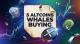 5 Altcoins Crypto Whales Buying to Rebalance Portfolios Following the Historic Mid Year Shakeout