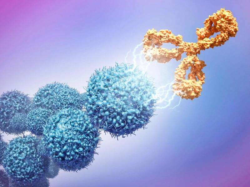 Fully Humanized Antibody Market May See Big Move | Major Giants Merck, AbbVie, Pfizer