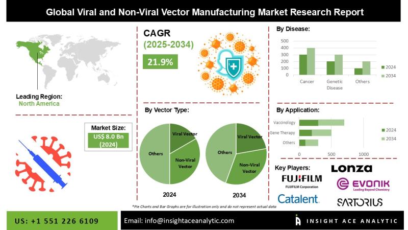 Viral and Non-Viral Vector Manufacturing Market Sees Booming Investment-Innovation in Gene, Cell, and Vaccine Therapies Drives Growth
