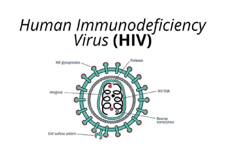 Human Immunodeficiency Virus Type 1 Treatment Market Expands with Breakthrough HIV Vaccines and Gene Therapy Trials