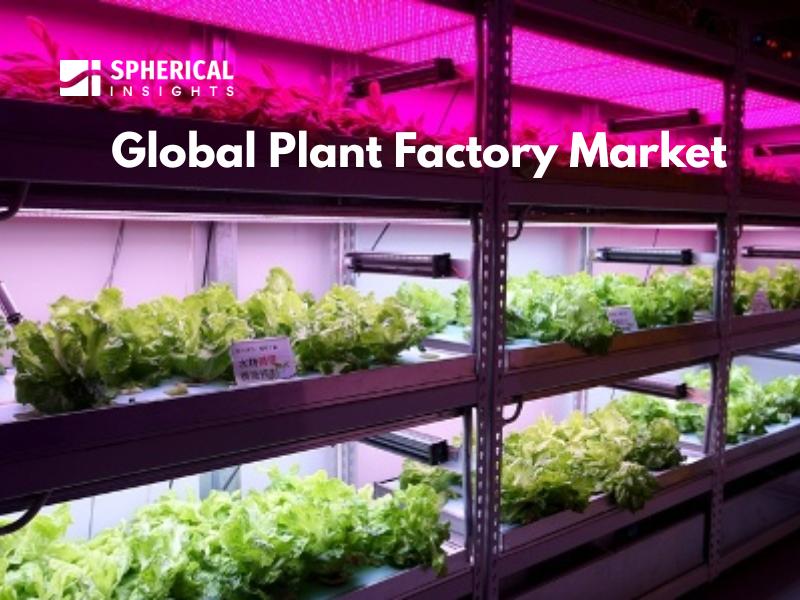 Plant Factory Market Booms as Urban Agriculture Gains Momentum - Forecast to 2032