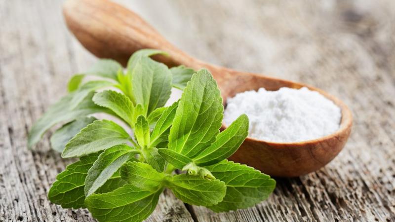 Stevia Market Hits New High | Major Giants Haigen Stevia, Stevia Product, PureCircle, Wisdom Natural