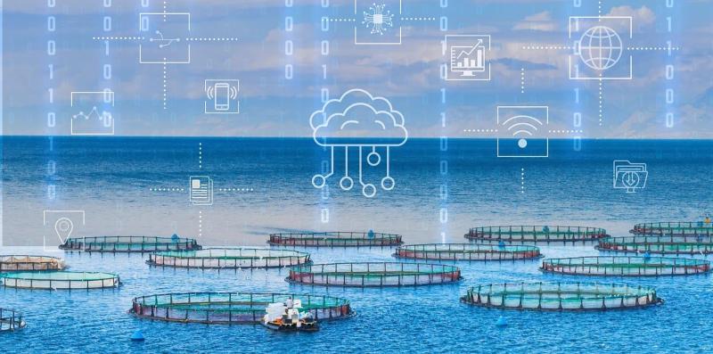 Smart Aquaculture Market Hits New High | Major Giants Sensorex, Aquanetix, TETRA