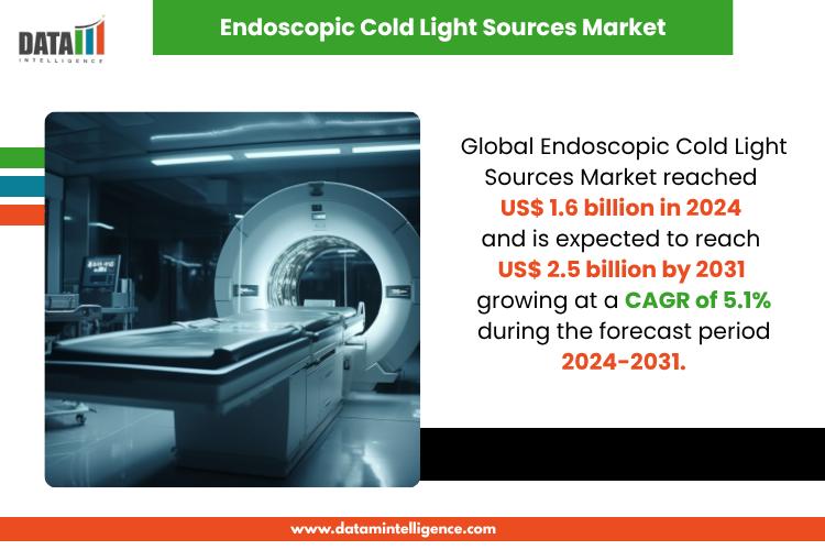 Endoscopic Cold Light Sources Market Gaining Traction, 5.1% CAGR Forecast to 2031 | Top Companies 2025 - Stryker Corporation, Karl Storz SE & Co KG