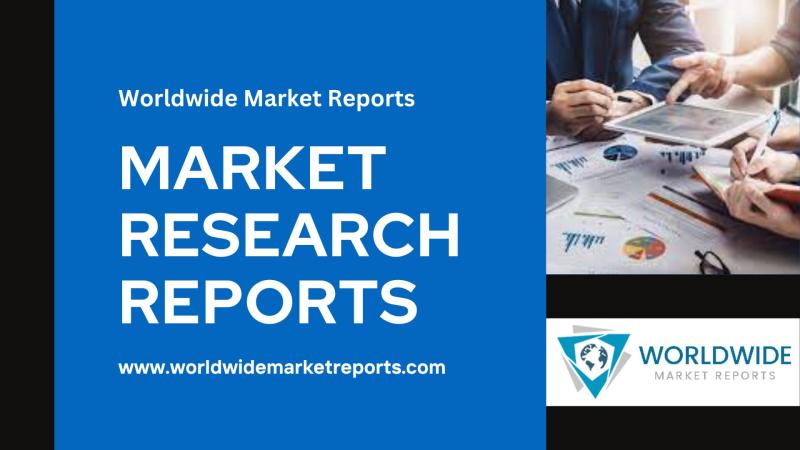 New Horizons in Consumer Security Hardware Solution Market Exploring Future Growth Potential, New Developments, Company Performance and Forecast 2032 | Honeywell Security Group, Bosch Security Systems Inc.