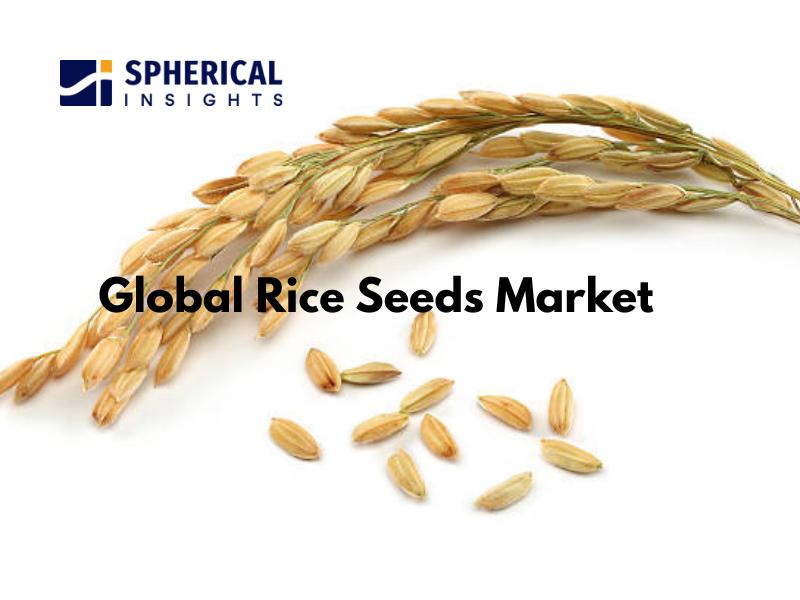 Rice Seeds Market: Overview, Key Drivers, Competitive Landscape, Segmentation, and Regional Analysis (2023-2033)