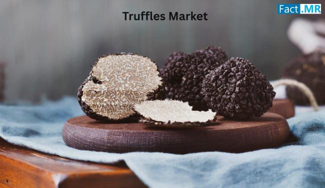 Truffles Market Size Expected to Reach US$ 1,014 Million by at a CAGR of 9.2% 2035: Fact.MR Report
