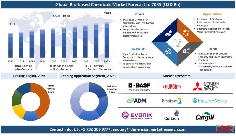 Bio-based Chemicals Market Size, Share, Trends & Outlook Report 2035
