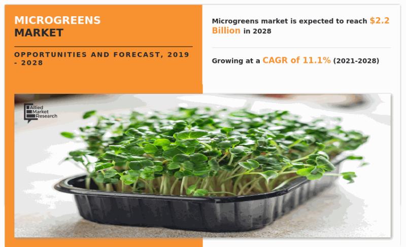 New report predicts robust growth in the global microgreens market driven by rising adoption in food services and health-conscious