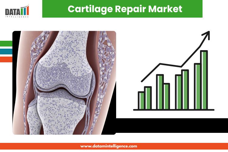 Cartilage Repair Market Attracts Investment in Cell-Based and Scaffold Therapies | Johnson & Johnson, B. Braun Melsungen AG, Smith & Nephew Pl