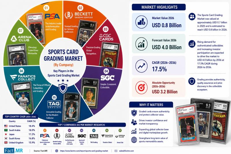 graded card market CGC Trading Cards and CSG Will Combine to Become the World's Second-largest Grading Service Insight into Cardmarket: Grading, Upgraded