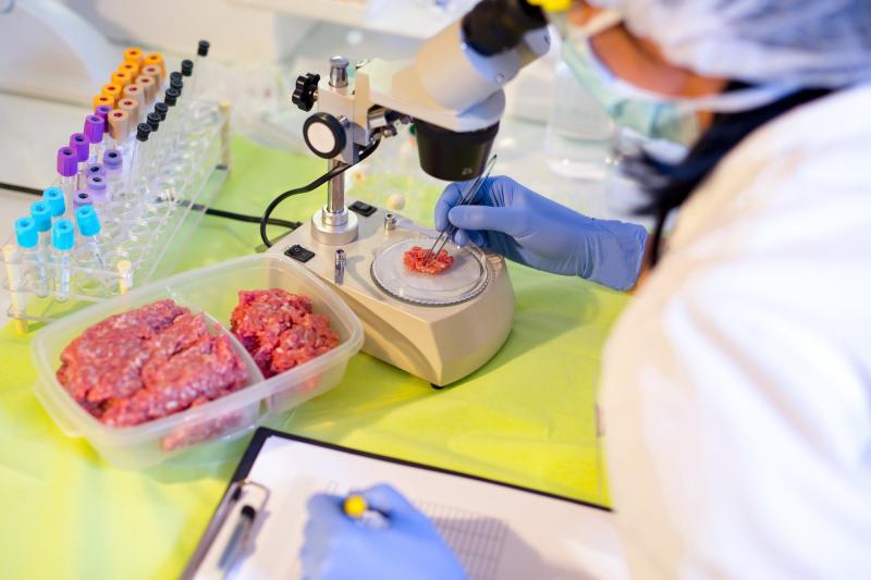 Bacteriological Testing Market Boosts Trends Upward To 2031 | Erber Group, Rakiro biotech systems pvt. Ltd, Acmas technologies