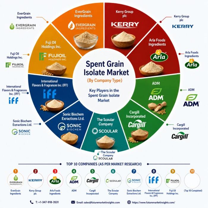 Global Spent Grain Isolate Market to Reach USD 737.1 Mn by 2036,