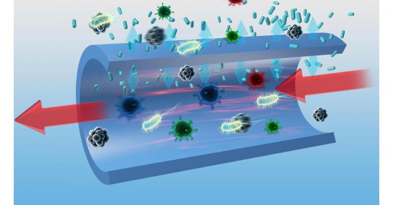 Antimicrobial Coating Market Surges Amid Rising Demand for Hygiene Solutions and Surface Protection in 2025 | Top key players - PPG Industries, Nippon Paint Holdings, AkzoNobel.