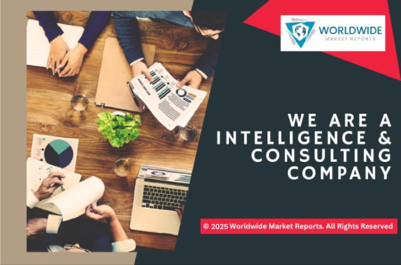 How the Chronic Disease Education Toys Market Will Evolve by 2032 - Growth, Segments, and Revenue Trends| Learning Resources, Educational Insights, Sproutel