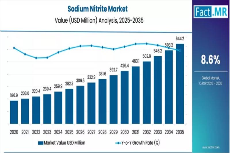 Sodium Nitrite Industry Sees Robust Expansion, Growing at 8.6% CAGR by 2035 | Fact.MR Report