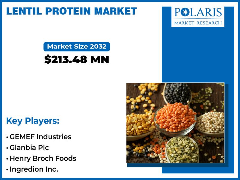 Lentil Protein Market