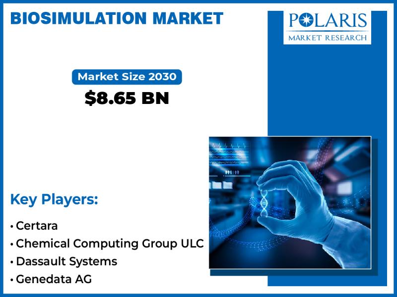 Biosimulation Market