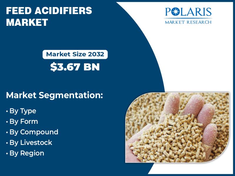 Feed Acidifiers Market