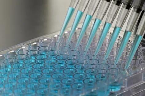 Diagnostic Enzymes Marketis projected to grow at a CAGR of 7.3% during the forecast period from 2024 to 2032.