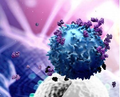 Immuno-oncology Clinical Trials Marketis projected to grow at a CAGR of 10.5% during the forecast period from 2024 to 2032.