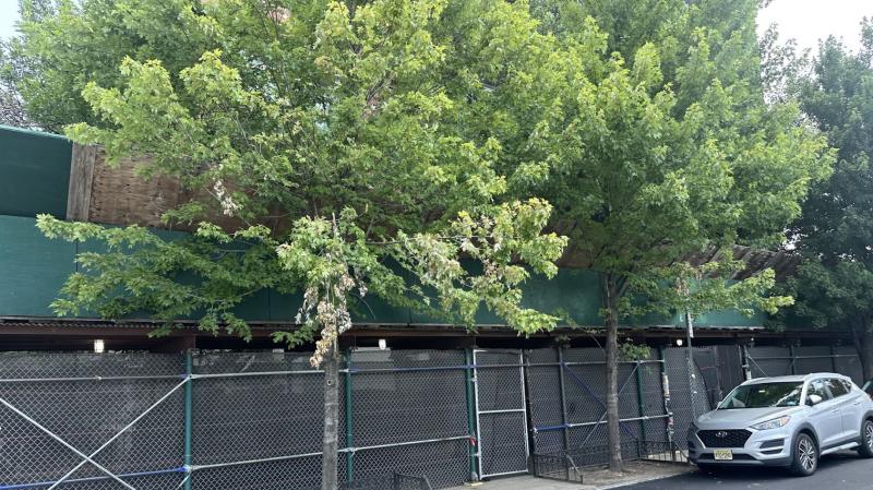 Queens Scaffolding Delivers Safe and Reliable Scaffolding
