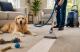 Best Carpet Cleaning Methods for Homes with Pets in Savannah, GA