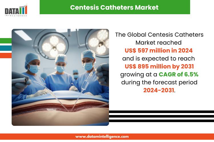 Centesis Catheters Market Attracts OEMs and Innovators in Booming Drainage Solutions with 6.5% CAGR (2024-2031) | Top Companies 2025 - Argon Medical, AngioDynamics, Becton, Dickinson and Company, Blue Neem Medical Devices