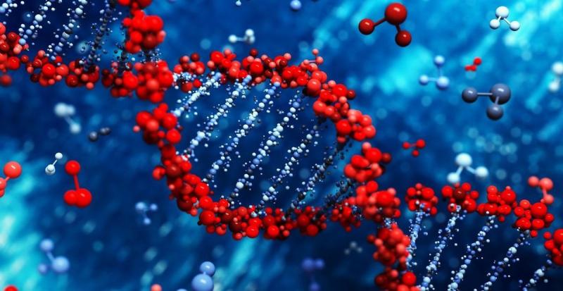 Consumer Genomics Market Hits New High | Major Giants 23andMe, Ancestry, MyHeritage, Helix, FamilyTreeDNA