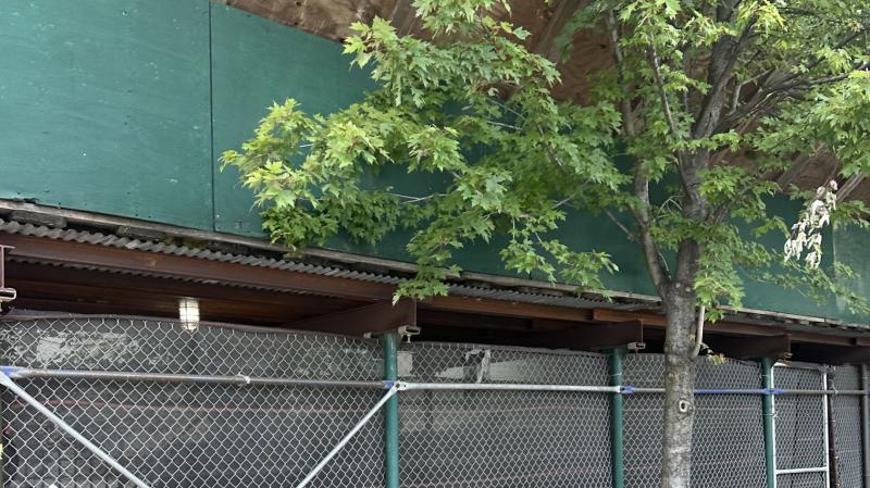 Downtown Scaffolding Expands Safe and Reliable Scaffolding