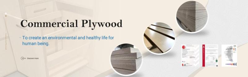 Shaping the Future of Engineered Wood: Why Aisen Wood is