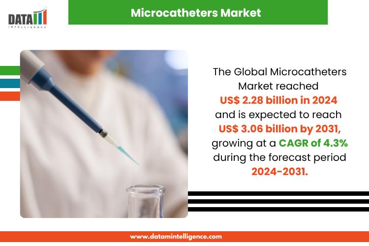 Microcatheters Market Attracts Global Players & Booming in Precision Navigation with 4.3% CAGR (2024-2031) | Top Companies - Boston Scientific Corporation, Cardinal Health, Inc., Abbott Laboratories, Terumo Corporation, Medtronic plc