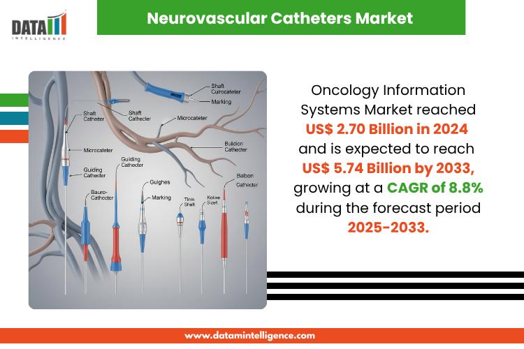 Neurovascular Catheters Market Attracts Global Players, Booming in Stroke Management with 6.7% CAGR (2024-2031) | Top Companies 2025 -Stryker, Medtronic, Integer Holdings Corporation, DePuy Synthes (Johnson and Johnson), Biomerics
