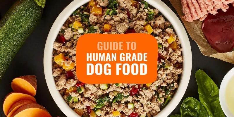Human Grade Pet Food Industry Current Status and Future Prospects