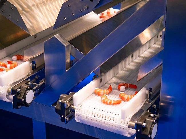 Seafood Processing Equipment Market: Trends, Opportunities, and Investment Outlook | Top Companies are Bristol Seafood, Zhengda Food Machinery Co. Ltd, Kroma.