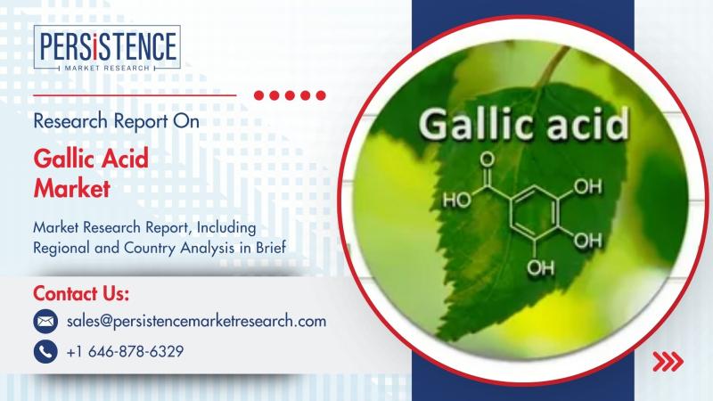 Gallic Acid Market to Surpass Valuation Milestones by 2032 on Back of Rising Demand in Pharmaceuticals and Food Industries