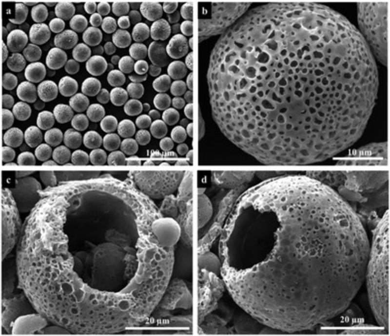 Polyurethane Microspheres Market Set to Soar: Rising Demand in Coatings, Automotive & Electronics Drives Global Growth 2025 | Top key players - Microchem, Bayer Material Science LLC, Kolon Industry, Inc.