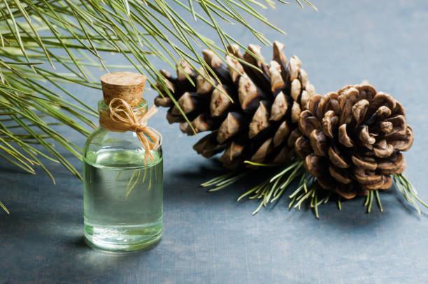 Turpentine Market Poised for Significant Growth, driven by Bio-Based Demand and Diversified Applications, Set to Exceed USD 2,598.64 million by 2034