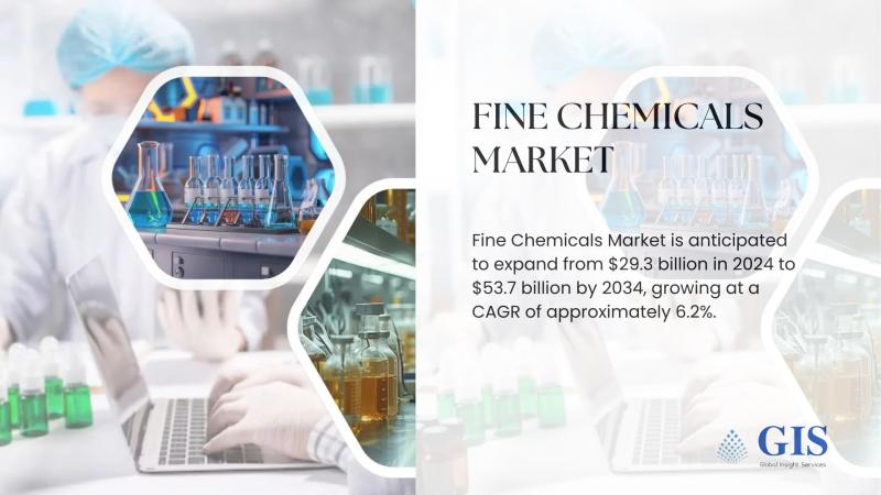 Fine Chemicals Market Is Anticipated To Expand From $29.3 Billion In 2024 To $53.7 Billion By 2034