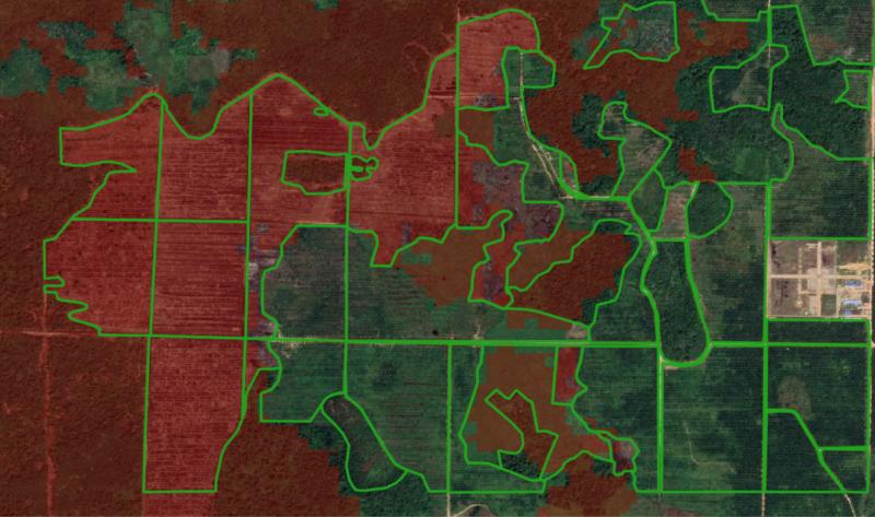 EUDR Study: Poor EU Deforestation Maps Put €133 Bn Worth