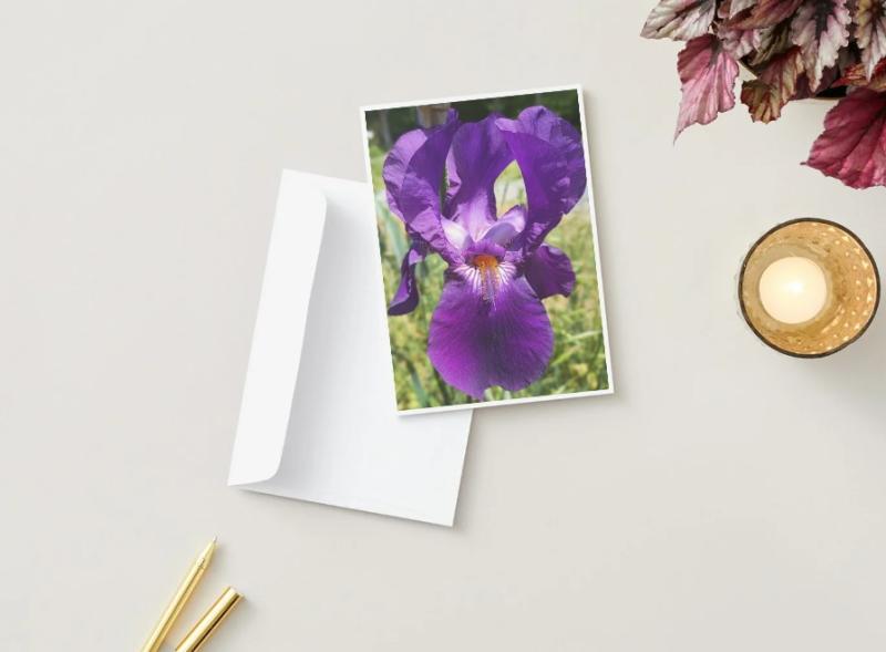 Line of greeting and note cards from based on experiences on the farm
