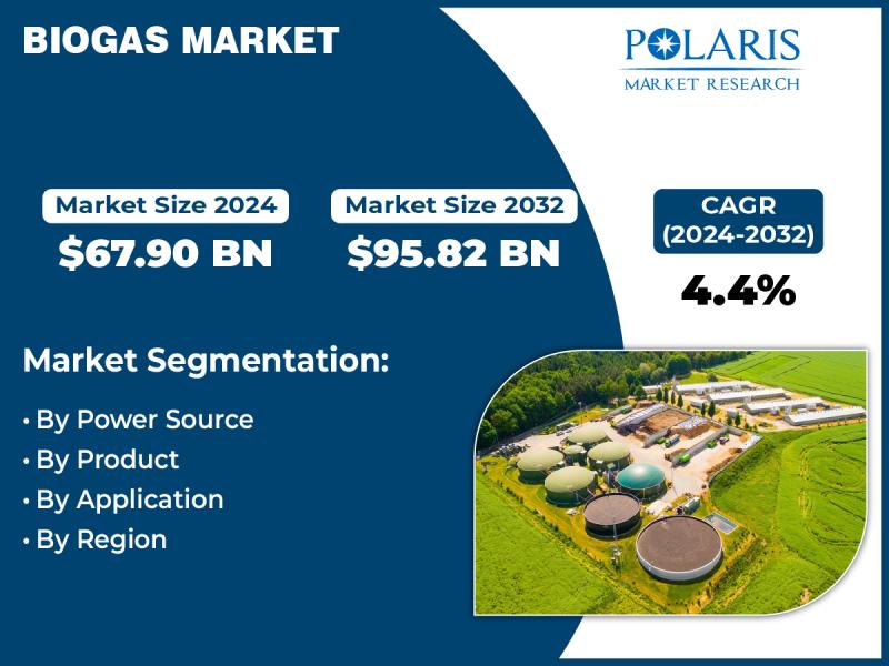 Biogas Market