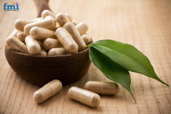 UK Probiotic Supplements Market Poised for Explosive Growth, Set to Triple by 2035 Amidst Burgeoning Health Consciousness
