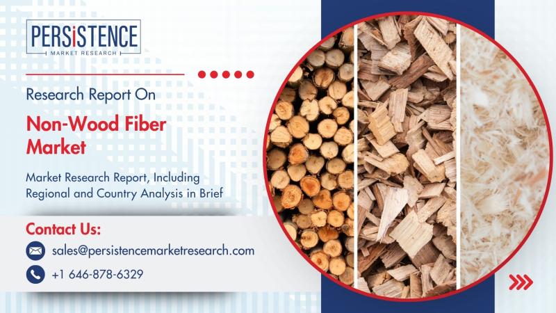 Non-Wood Fiber Market Set to Reach New Heights by 2032 with Rising Demand for Sustainable Materials