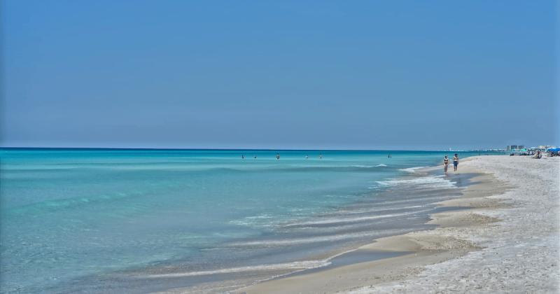 Miracle Leaf Case Study: SEO Success from FloridaBeaches.io Local Business Listing